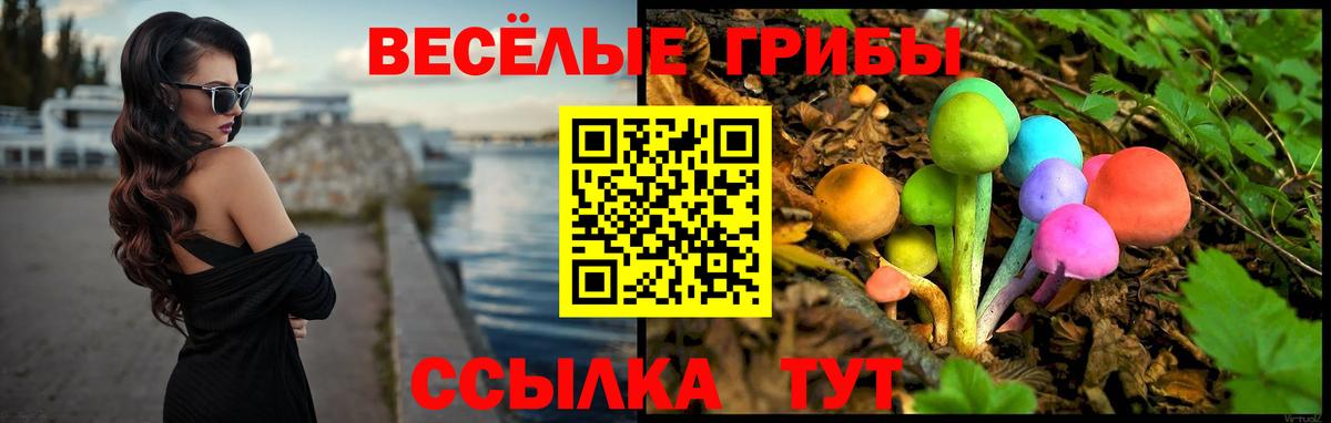 Псилоцибиновые грибы ЛСД  Галлюциногенные грибы MAGIC MUSHROOMS  Чистополь  Вход с VPN 